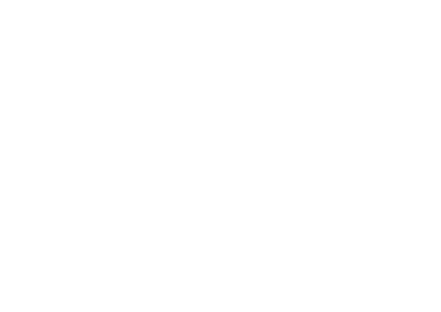 Konica img