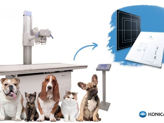 Soluções Veterinárias