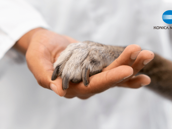 Soluções veterinárias Konica Minolta