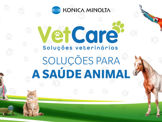 veterinário